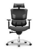 EMONE Basic 基本版 人體工學辦公電腦椅