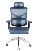 RIOLI-M R30 韓國Wintex網布人體工學辦公電腦椅