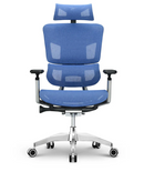 EMONE Luxury 豪華版 人體工學辦公電腦椅