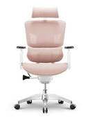 EMONE Basic 基本版 人體工學辦公電腦椅