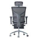 RIOLA-R R30 PRO 韓國Wintex網布人體工學辦公電腦椅連腳踏 - Spazio Plus 多維家居