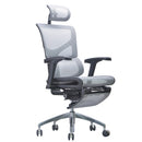 RIOLA-R R30 PRO 韓國Wintex網布人體工學辦公電腦椅連腳踏 - Spazio Plus 多維家居