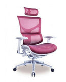 RIOLI-GJ R40 韓國Wintext網布人體工學辦公電腦椅 - Spazio Plus 多維家居