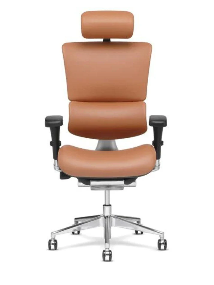 RIOLI-R50 Leather Ergonomic Office Computer Chair