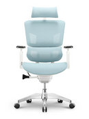 EMONE Basic 基本版 人體工學辦公電腦椅