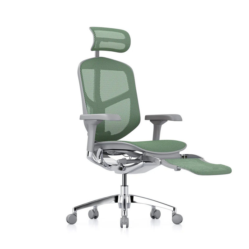 ERGOHUMAN ENJOY Elite 2.0 Mesh Ergonomic Office Computer Chair