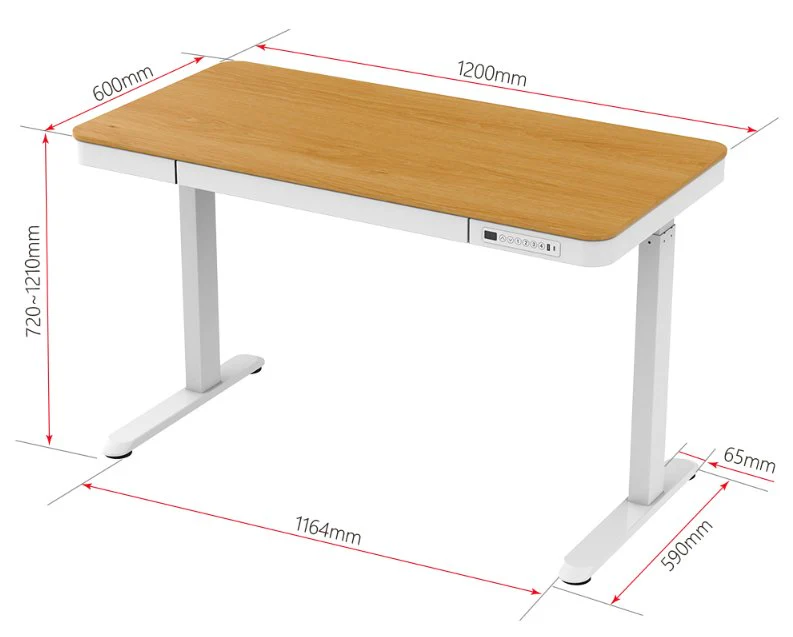 FlexiSpot E9W Woodee 電動升降桌 (120cm寬)