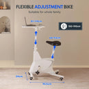 FlexiSpot Deskbike V9-N-A 辦公室健身單車椅