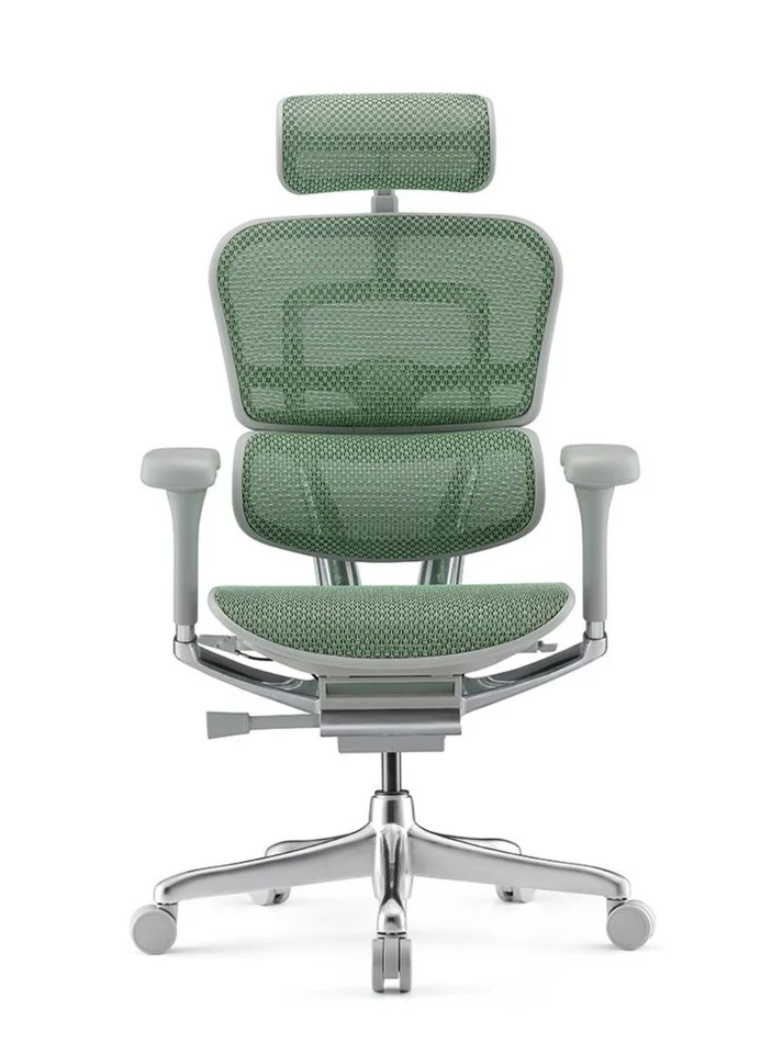 ERGOHUMAN Elite 2.0 Mesh Ergonomic Office Computer Chair