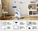 FlexiSpot Deskbike V9-N-A 辦公室健身單車椅