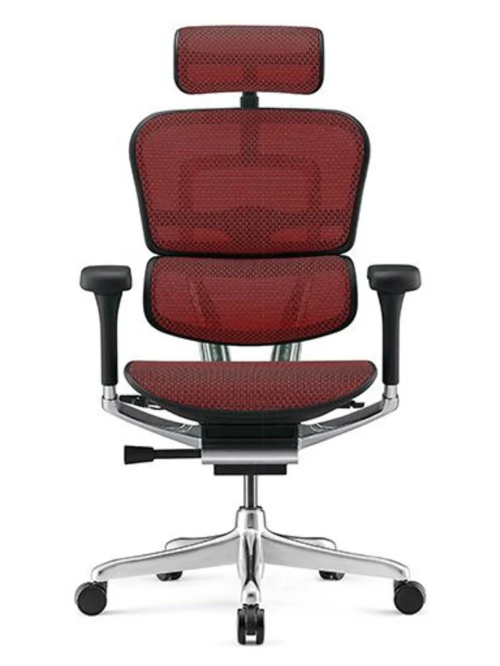 ERGOHUMAN Elite 2.0 Mesh Ergonomic Office Computer Chair