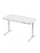 FlexiSpot EL19 Elwood Height Adjustable Standing Desk
