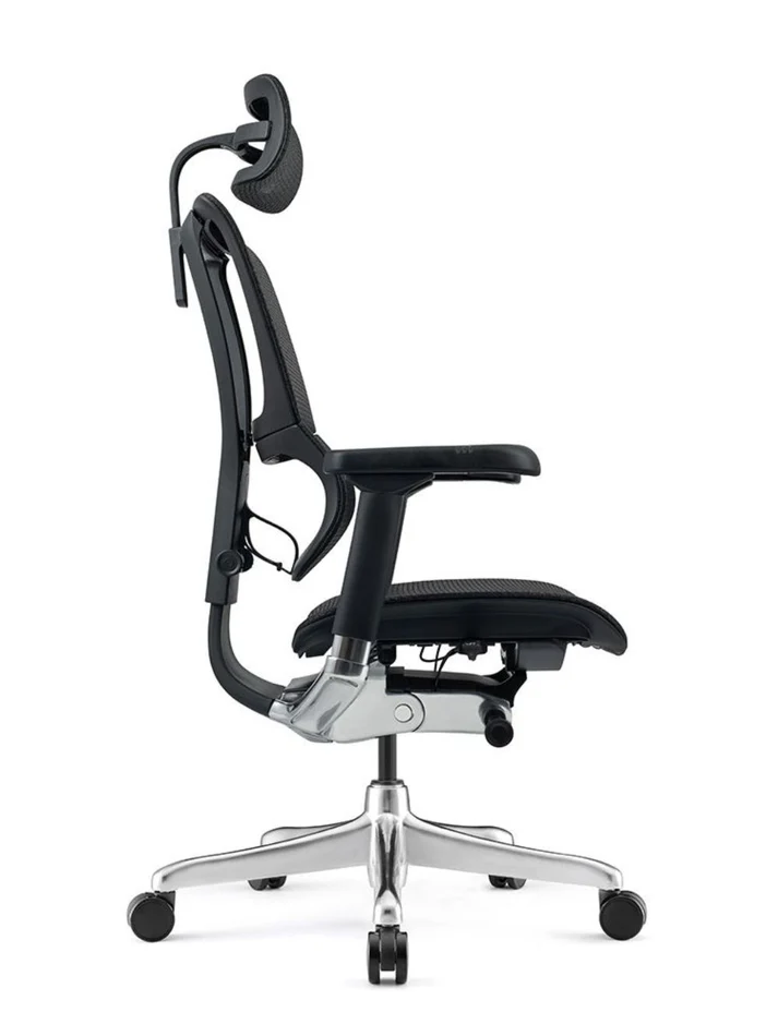 ERGOHUMAN IOO Elite 2.0 Ergonomic Office Computer Chair 