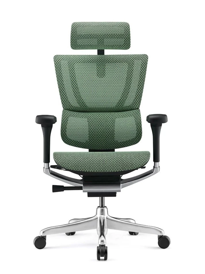 ERGOHUMAN IOO Elite 2.0 Ergonomic Office Computer Chair 