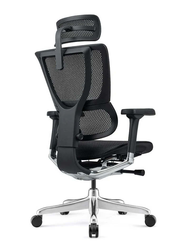 ERGOHUMAN IOO Elite 2.0 Ergonomic Office Computer Chair 