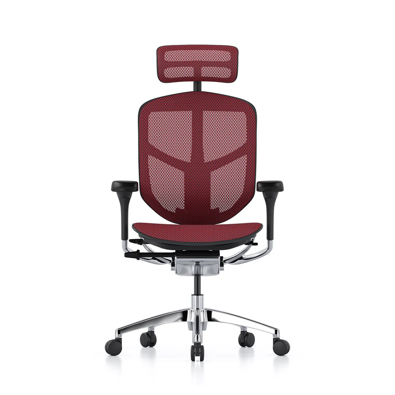 ERGOHUMAN ENJOY Elite 2.0 Mesh Ergonomic Office Computer Chair