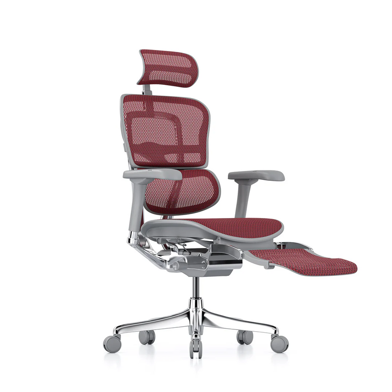 ERGOHUMAN Elite 2.0 Mesh Ergonomic Office Computer Chair