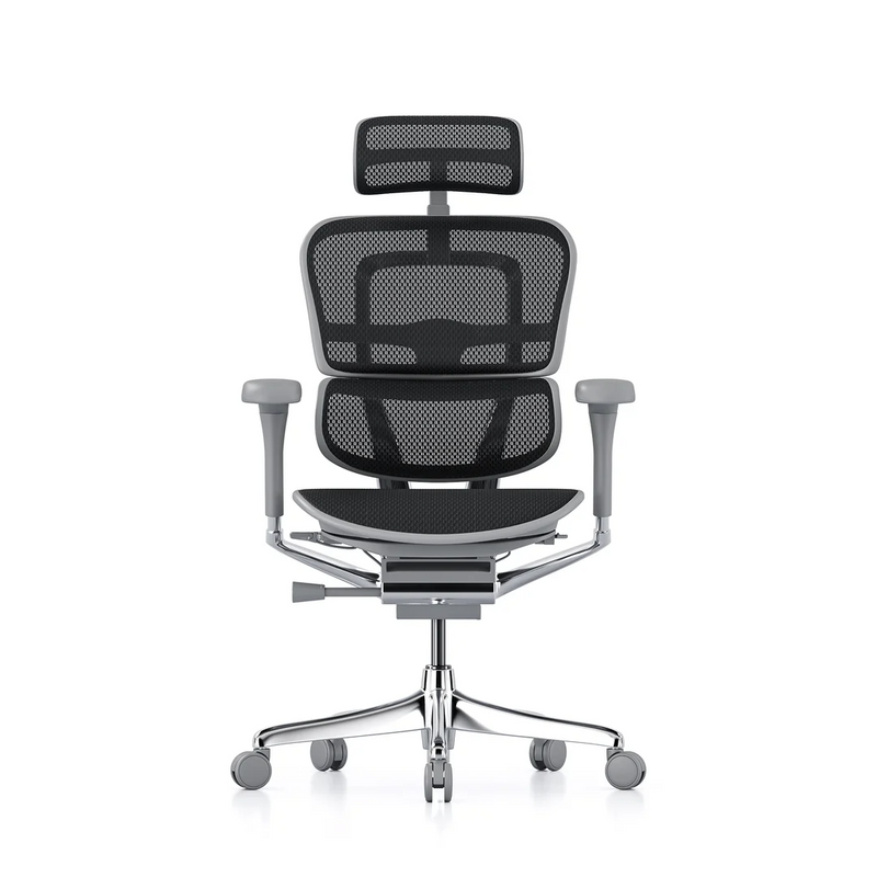 ERGOHUMAN Elite 2.0 Mesh Ergonomic Office Computer Chair