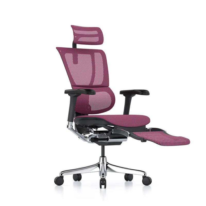 ERGOHUMAN IOO Elite 2.0 Ergonomic Office Computer Chair 