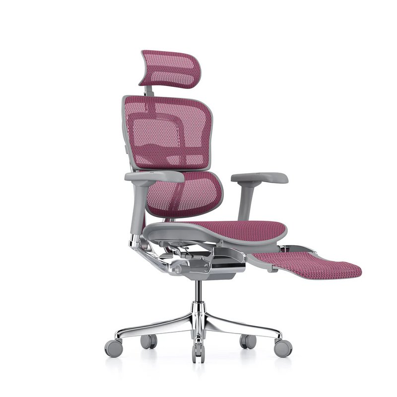 ERGOHUMAN Elite 2.0 Mesh Ergonomic Office Computer Chair