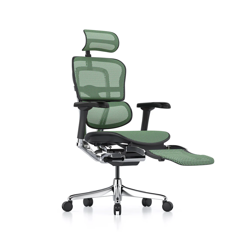 ERGOHUMAN Elite 2.0 Mesh Ergonomic Office Computer Chair