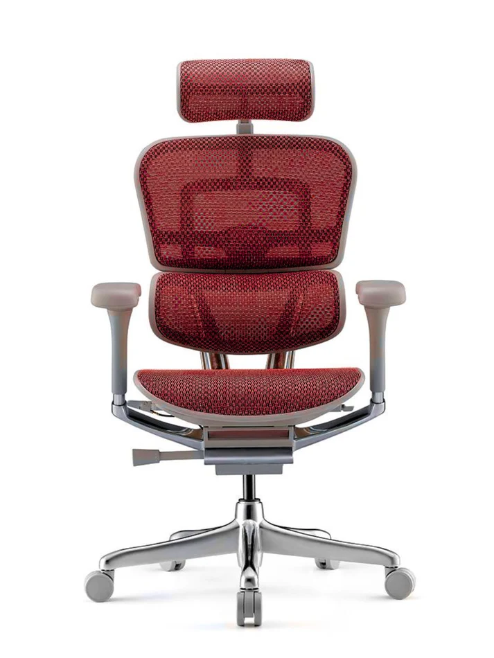 ERGOHUMAN Elite 2.0 Mesh Ergonomic Office Computer Chair