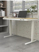 FlexiSpot EL19 Elwood Height Adjustable Standing Desk