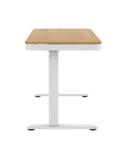 FlexiSpot EL19 Elwood Height Adjustable Standing Desk