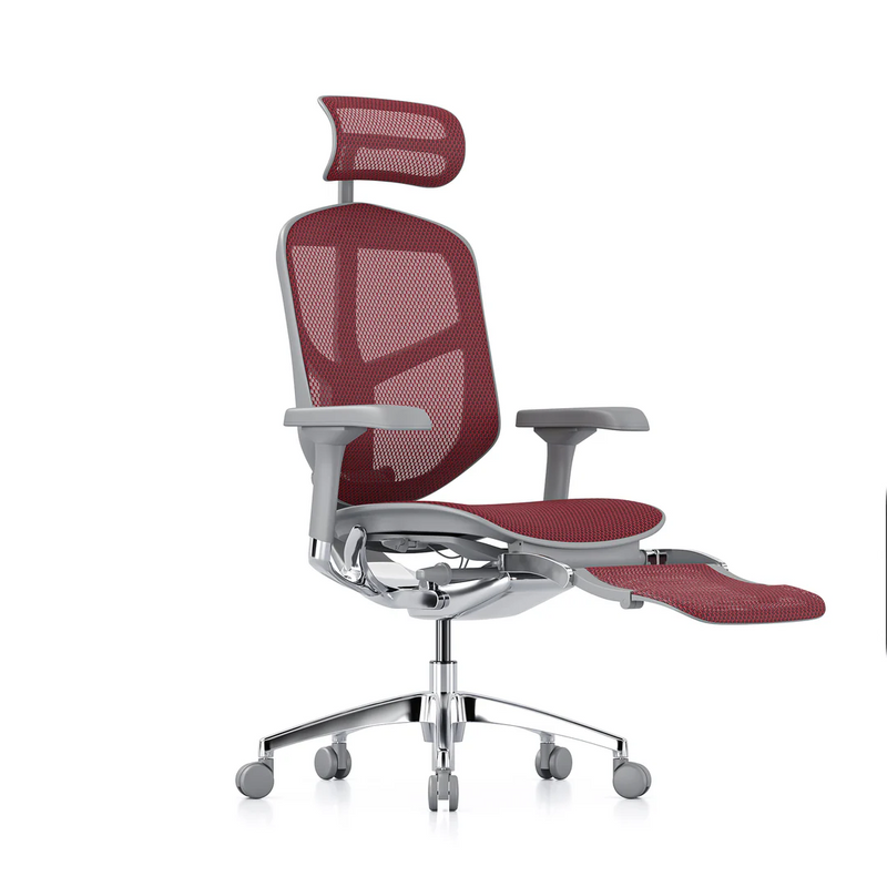 ERGOHUMAN ENJOY Elite 2.0 Mesh Ergonomic Office Computer Chair