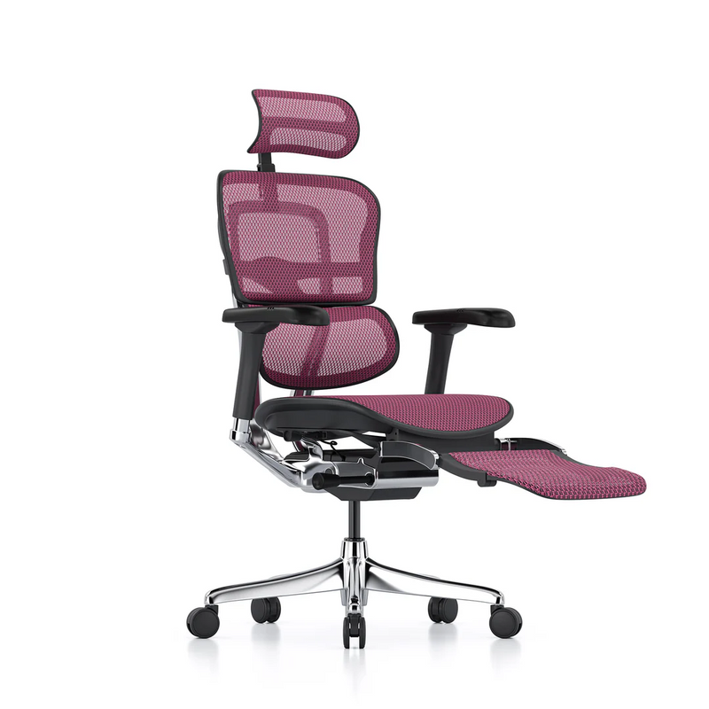 ERGOHUMAN Elite 2.0 Mesh Ergonomic Office Computer Chair