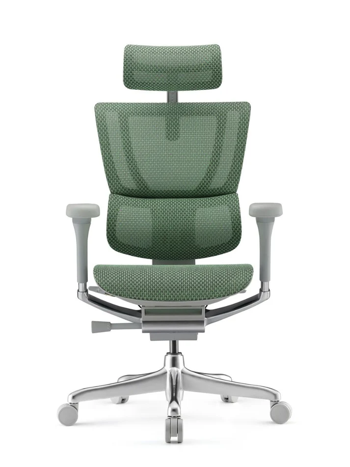 ERGOHUMAN IOO Elite 2.0 Ergonomic Office Computer Chair 