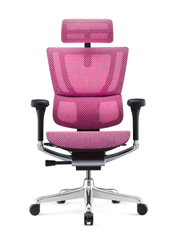 ERGOHUMAN IOO Elite 2.0 Ergonomic Office Computer Chair 