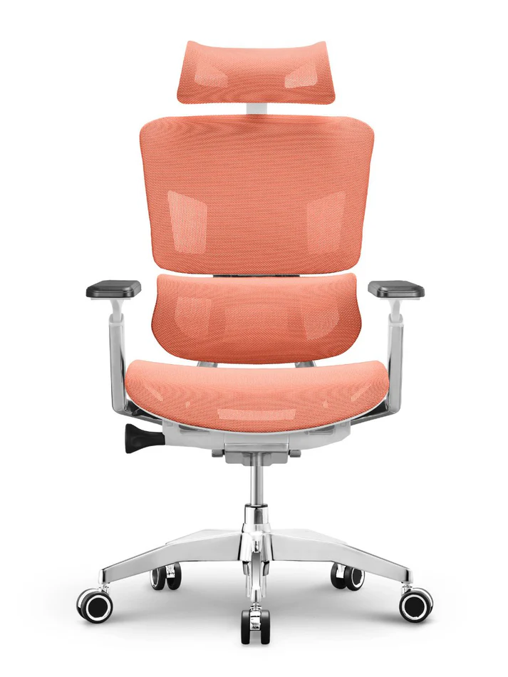 EMONE Basic Korean Wintex Mesh Ergonomic Office Computer Chair