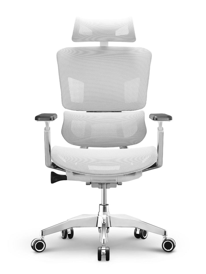 EMONE Basic Korean Wintex Mesh Ergonomic Office Computer Chair