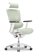 EMONE Basic 基本版 人體工學辦公電腦椅