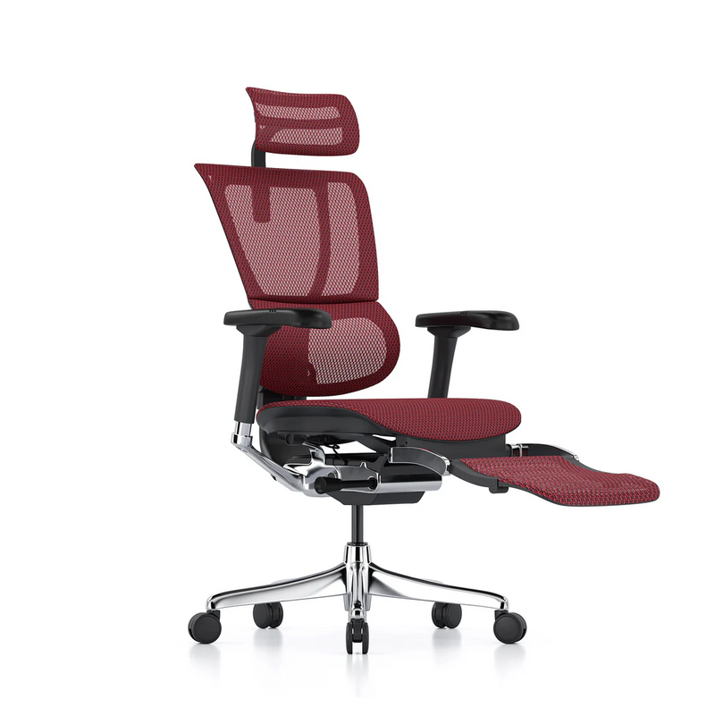 ERGOHUMAN IOO Elite 2.0 Ergonomic Office Computer Chair 