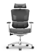 EMONE Basic 基本版 人體工學辦公電腦椅