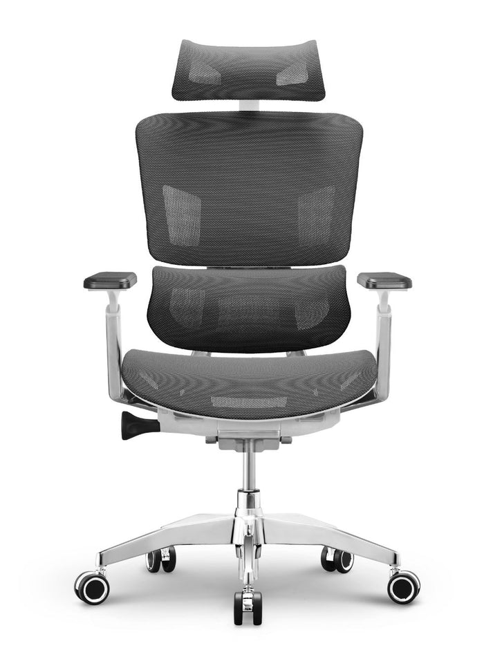 EMONE Basic Korean Wintex Mesh Ergonomic Office Computer Chair