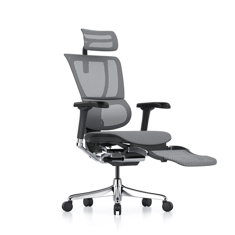 ERGOHUMAN IOO Elite 2.0 Ergonomic Office Computer Chair 