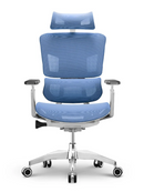 EMONE Basic 基本版 人體工學辦公電腦椅