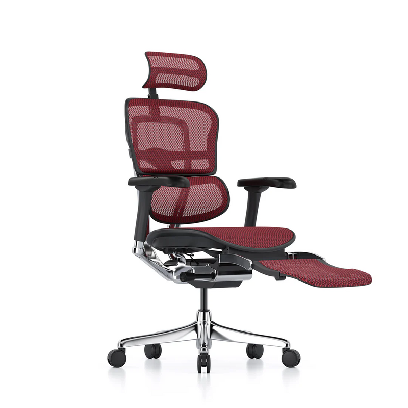 ERGOHUMAN Elite 2.0 Mesh Ergonomic Office Computer Chair