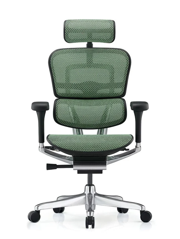 ERGOHUMAN Elite 2.0 Mesh Ergonomic Office Computer Chair