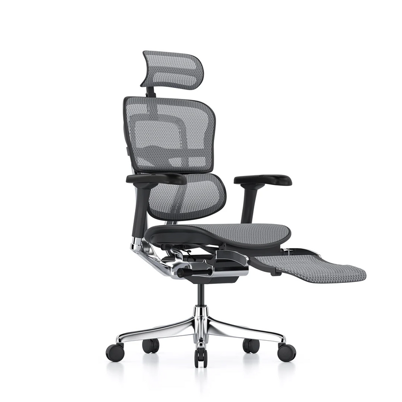 ERGOHUMAN Elite 2.0 Mesh Ergonomic Office Computer Chair