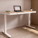 FlexiSpot EL19 Elwood Height Adjustable Standing Desk