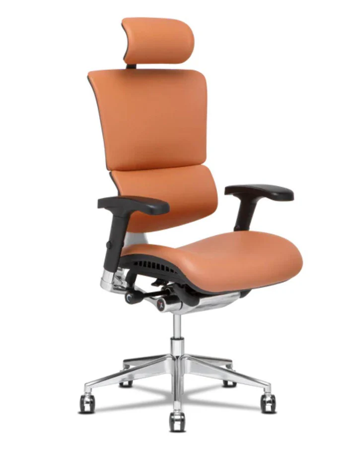 RIOLI-R50 Leather Ergonomic Office Computer Chair