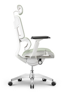 EMONE Basic 基本版 人體工學辦公電腦椅