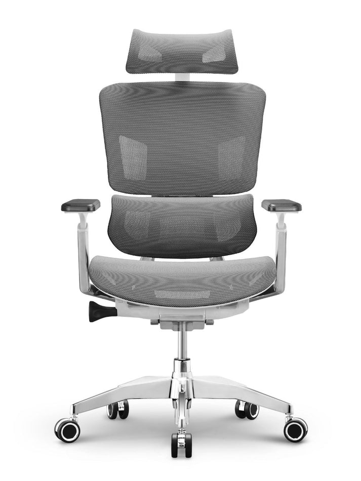 EMONE Basic Korean Wintex Mesh Ergonomic Office Computer Chair