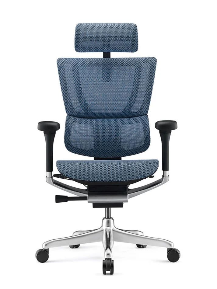 ERGOHUMAN IOO Elite 2.0 Ergonomic Office Computer Chair 