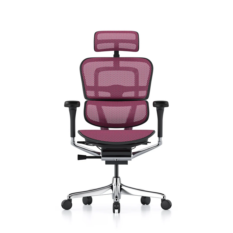 ERGOHUMAN Elite 2.0 Mesh Ergonomic Office Computer Chair