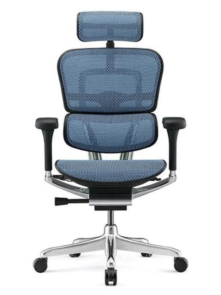 ERGOHUMAN Elite 2.0 Mesh Ergonomic Office Computer Chair